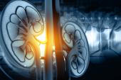 Renal Denervation a Third Option for Hypertension, European Experts Say